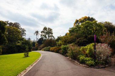 Victoria Kraliyet Botanik Bahçeleri Melbourne, Victoria, Avustralya 'da serin bir sonbahar sabahı