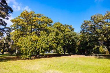 Melbourne, Victoria, Avustralya 'daki Kraliyet Botanik Bahçeleri' nde sonbahar boyunca Anma Tapınağı ve çevre parklar ve bahçeler