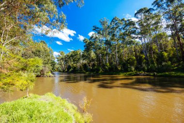 Warrandyte, Victoria, Avustralya 'da serin bir sonbahar gününde Warrandyte River Reserve ve çevresindeki manzara.
