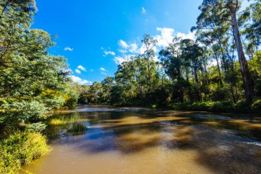 Warrandyte, Victoria, Avustralya 'da serin bir sonbahar gününde Warrandyte River Reserve ve çevresindeki manzara.
