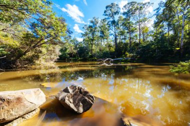 Warrandyte, Victoria, Avustralya 'da serin bir sonbahar gününde Warrandyte River Reserve ve çevresindeki manzara.