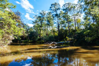 Warrandyte, Victoria, Avustralya 'da serin bir sonbahar gününde Warrandyte River Reserve ve çevresindeki manzara.