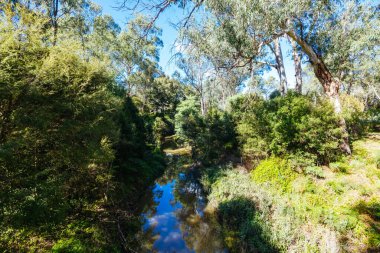 Warrandyte, Victoria, Avustralya 'da serin bir sonbahar gününde Warrandyte River Reserve ve çevresindeki manzara.