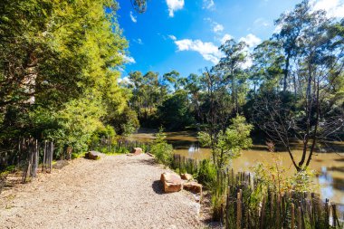 Warrandyte, Victoria, Avustralya 'da serin bir sonbahar gününde Warrandyte River Reserve ve çevresindeki manzara.
