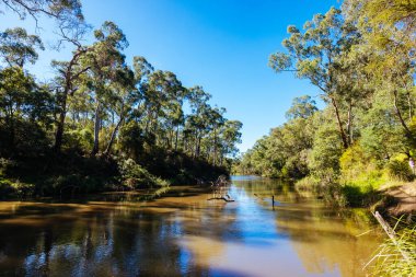 Warrandyte, Victoria, Avustralya 'da serin bir sonbahar gününde Warrandyte River Reserve ve çevresindeki manzara.