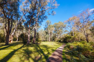 Warrandyte State Park 'ta Pound Bend Reserve. Warrandyte, Victoria, Avustralya' da serin bir sonbahar günü..