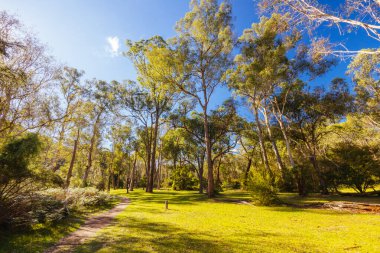 Warrandyte State Park 'ta Pound Bend Reserve. Warrandyte, Victoria, Avustralya' da serin bir sonbahar günü..