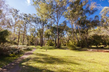 Warrandyte State Park 'ta Pound Bend Reserve. Warrandyte, Victoria, Avustralya' da serin bir sonbahar günü..