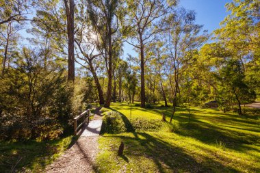 Warrandyte State Park 'ta Pound Bend Reserve. Warrandyte, Victoria, Avustralya' da serin bir sonbahar günü..