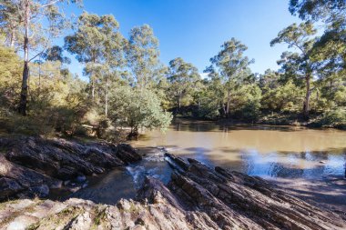 Warrandyte State Park 'taki Pound Bend Tüneli ve Warrandyte, Victoria, Avustralya' da serin bir sonbahar gününde.