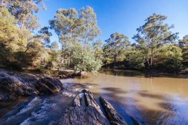 Warrandyte State Park 'taki Pound Bend Tüneli ve Warrandyte, Victoria, Avustralya' da serin bir sonbahar gününde.