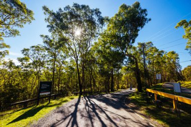 Warrandyte State Park 'ta Pound Bend Reserve. Warrandyte, Victoria, Avustralya' da serin bir sonbahar günü..