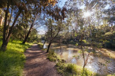 Warrandyte, Victoria, Avustralya 'da serin bir sonbahar gününde Warrandyte River Reserve ve çevresindeki manzara.