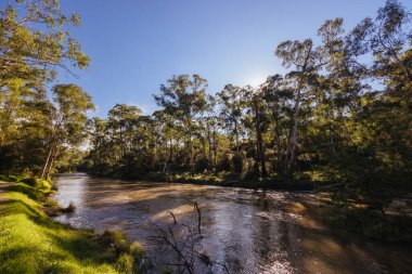 Warrandyte, Victoria, Avustralya 'da serin bir sonbahar gününde Warrandyte River Reserve ve çevresindeki manzara.