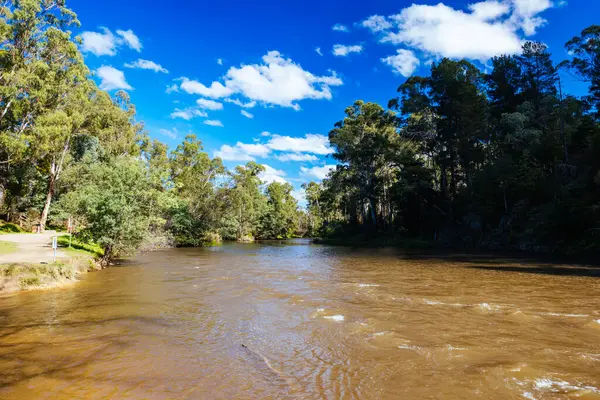Warrandyte, Victoria, Avustralya 'da serin bir sonbahar gününde Warrandyte River Reserve ve çevresindeki manzara.