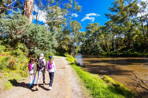 Warrandyte, Victoria, Avustralya 'da serin bir sonbahar gününde Warrandyte River Reserve ve çevresindeki manzara.