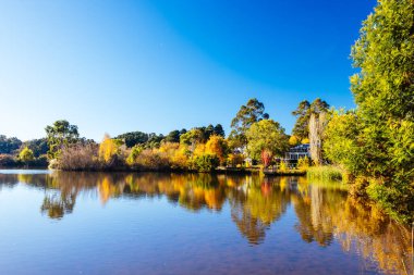 DAYLESFORD, AUSTRALIA - 12 Mayıs 2024: Daylesford Gölü çevresindeki manzara Daylesford, Victoria, Avustralya 'da serin bir sonbahar öğleden sonrasında