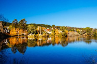 DAYLESFORD, AUSTRALIA - 12 Mayıs 2024: Daylesford Gölü çevresindeki manzara Daylesford, Victoria, Avustralya 'da serin bir sonbahar öğleden sonrasında