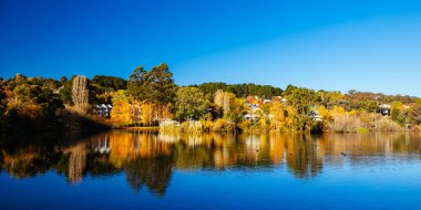 DAYLESFORD, AUSTRALIA - 12 Mayıs 2024: Daylesford Gölü çevresindeki manzara Daylesford, Victoria, Avustralya 'da serin bir sonbahar öğleden sonrasında