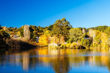 DAYLESFORD, AUSTRALIA - 12 Mayıs 2024: Daylesford Gölü çevresindeki manzara Daylesford, Victoria, Avustralya 'da serin bir sonbahar öğleden sonrasında