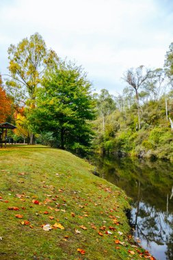 A late autumn afternoon in Jamieson in Victorias High Country, Australia clipart