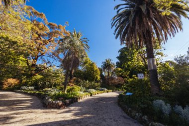 Williamstown Botanik Bahçeleri Melbourne, Victoria, Avustralya 'daki Williamstown şehir merkezinde serin bir kış öğleden sonra