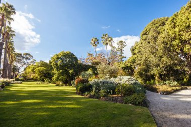 Williamstown Botanik Bahçeleri Melbourne, Victoria, Avustralya 'daki Williamstown şehir merkezinde serin bir kış öğleden sonra