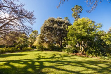 Williamstown Botanik Bahçeleri Melbourne, Victoria, Avustralya 'daki Williamstown şehir merkezinde serin bir kış öğleden sonra