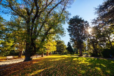 Williamstown Botanik Bahçeleri Melbourne, Victoria, Avustralya 'daki Williamstown şehir merkezinde serin bir kış öğleden sonra