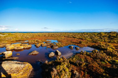 Çene kemiği Deniz Sığınağı Williamstown, Melbourne, Victoria, Avustralya 'da kış günü