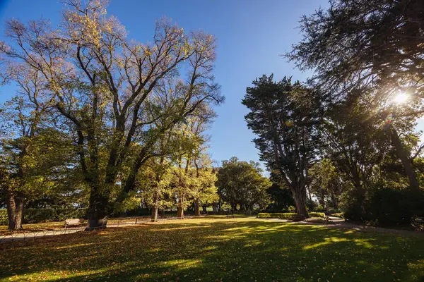 stock image Williamstown Botanic Gardens on a cool winters afternoon in central Williamstown in Melbourne, Victoria, Australia