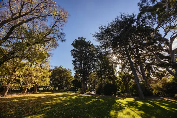 Williamstown Botanik Bahçeleri Melbourne, Victoria, Avustralya 'daki Williamstown şehir merkezinde serin bir kış öğleden sonra