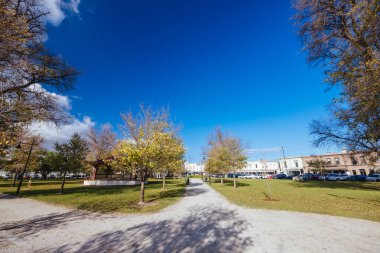 Williamstown 'da Melbourne, Victoria, Avustralya' daki Gem Rıhtımı 'nın yanında bulunan Eyalet Rezervi.