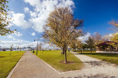 Williamstown 'da Melbourne, Victoria, Avustralya' daki Gem Rıhtımı 'nın yanında bulunan Eyalet Rezervi.
