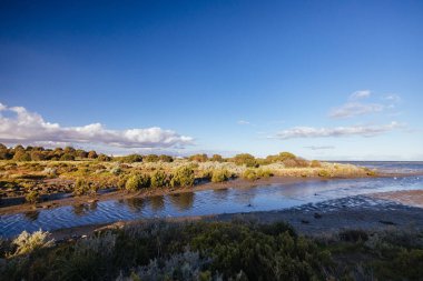 Williamstown, Melbourne, Victoria, Avustralya 'daki Jawbone Flora ve Fauna Reserve' deki Paisley Challis Birdhide çevresindeki sulak alanlar