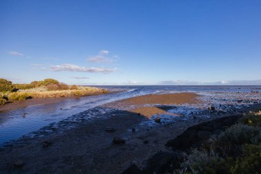 Williamstown, Melbourne, Victoria, Avustralya 'daki Jawbone Flora ve Fauna Reserve' deki Paisley Challis Birdhide çevresindeki sulak alanlar