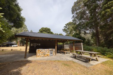 Tazmanya, Avustralya 'da serin bir yaz gününde Ulusal Park' taki Mount Field parkları ve piknik alanı