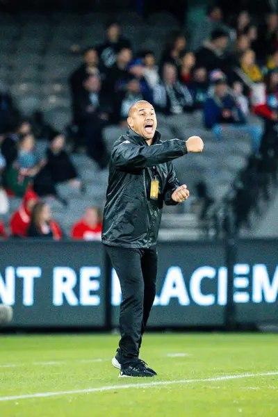 stock image MELBOURNE, AUSTRALIA - MAY 24: Patrick Kisnorbo manager of A-League All Stars Men whilst playing Newcastle United during the Global Football Week at Marvel Stadium on May 24, 2024 in Melbourne