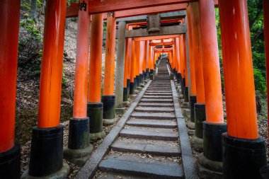 Japonya, Kyoto 'daki Fushimi Inari Tapınağı' ndaki Kırmızı Tori Kapısı. Japonya 'daki en büyük turistik yerlerden biri.