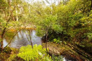 idyllic surroundings around Lerderderg Heritage River Walk on a cool winters day in western Melbourne in Victoria, Australia clipart