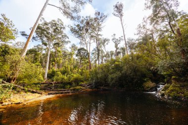 Lerderderderg Heritage Nehir Yürüyüşü 'nün etrafındaki huzurlu çevre, Batı Melbourne, Victoria, Avustralya' da serin bir kış gününde