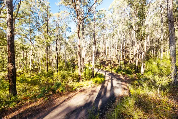 stock image idyllic surroundings around Lerderderg Heritage River Walk on a cool winters day in western Melbourne in Victoria, Australia