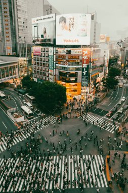 TOKYO, JAPONYA - 12 Mayıs 2019 Shibuya Geçidi, Tokyo, Japonya 'da en çok kullanılan yaya geçişlerinden biridir.
