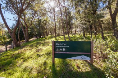 Warrandyte, Victoria, Avustralya 'da sıcak bir kış gününde Warrandyte Eyalet Parkı' nın bir parçası olarak Yarra Nehri boyunca Mavi Dil Virajı Yürüyüşü.