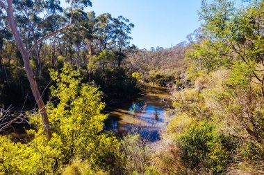 Warrandyte, Victoria, Avustralya 'da sıcak bir kış gününde Warrandyte Eyalet Parkı' nın bir parçası olarak Yarra Nehri boyunca Mavi Dil Virajı Yürüyüşü.