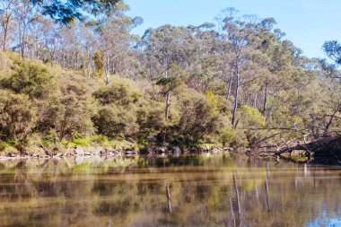 Warrandyte, Victoria, Avustralya 'da sıcak bir kış gününde Warrandyte Eyalet Parkı' nın bir parçası olarak Yarra Nehri boyunca Mavi Dil Virajı Yürüyüşü.