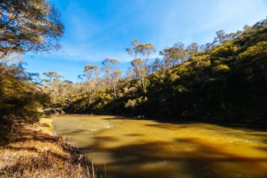 Warrandyte, Victoria, Avustralya 'da sıcak bir kış gününde Warrandyte Eyalet Parkı' nın bir parçası olarak Yarra Nehri boyunca Mavi Dil Virajı Yürüyüşü.