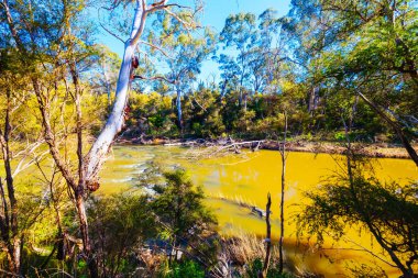 Blue Tongue Bend Walk along the Yarra River as part of Warrandyte State Park on a warm winters day in Warrandyte, Victoria, Australia. clipart