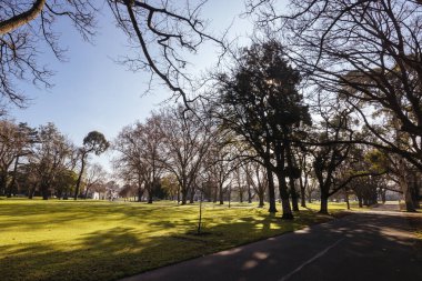 Melbourne Avustralya 'da açık güneşli bir kış gününde Carlton Bahçeleri