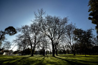 Carlton Gardens on a clear sunny winters day in Melbourne Australia clipart